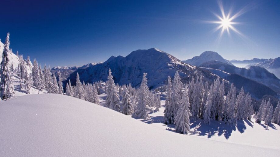 GuffertBlauberge004.jpg