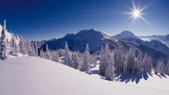 GuffertBlauberge004.jpg