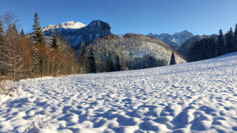 West Tatra Winterlandschaft am rande eines Waldes mit Bergen im Hintergrund