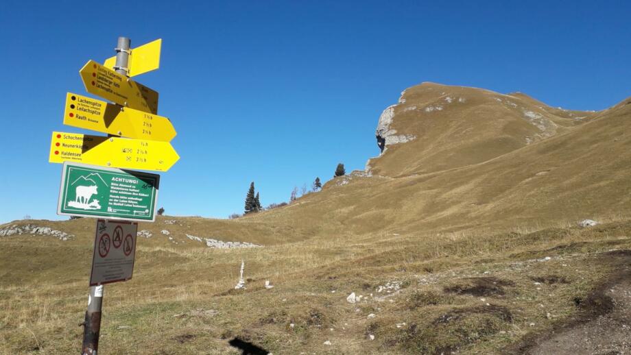oesterreich-tannheimer-tal-TWTAN (11).jpg