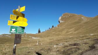 oesterreich-tannheimer-tal-TWTAN (11).jpg