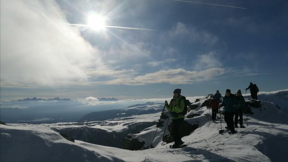 oesterreich-schneeschuhwandern-allgemein-winter (6).jpg