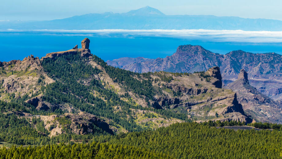 shutterstock_417112645_RoqueNublo_El_Teide.jpg