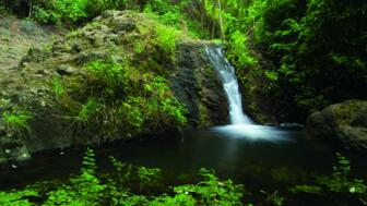shutterstock_277400405_Barranco_de_Azuaje_Gran-Canaria.jpg