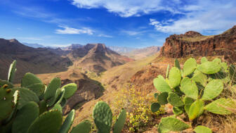 shutterstock_413305354_ESCAN_Berglandschaft.jpg