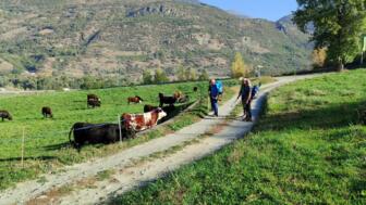Italien-Aostatal-CamminoBalteo-HWAOS (24).jpg
