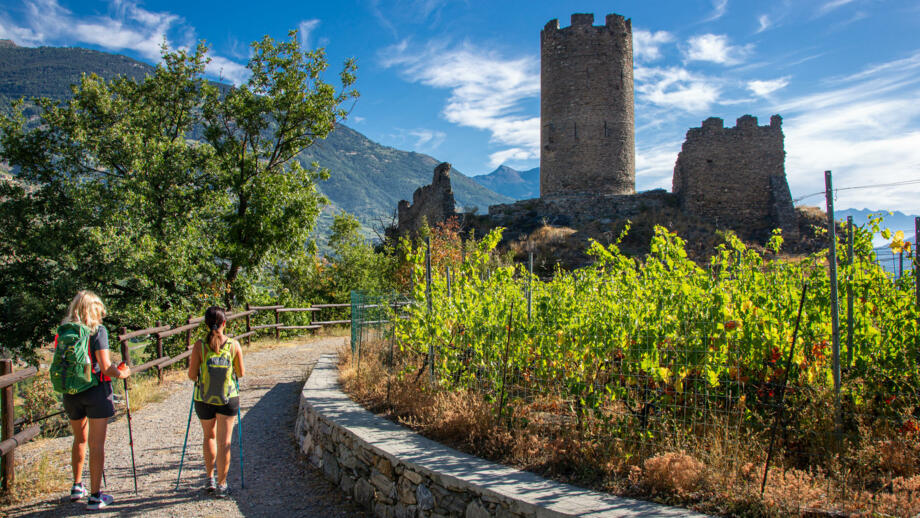 italien-valle-d'aosta-castello-di-châtel-argent-villeneuve-foto-enrico-romanzi-6920.jpg