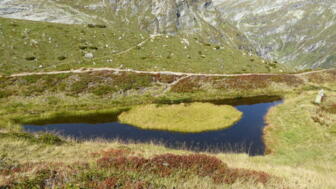 HWWWF_Ute Igel_Auge_Gottes.jpg