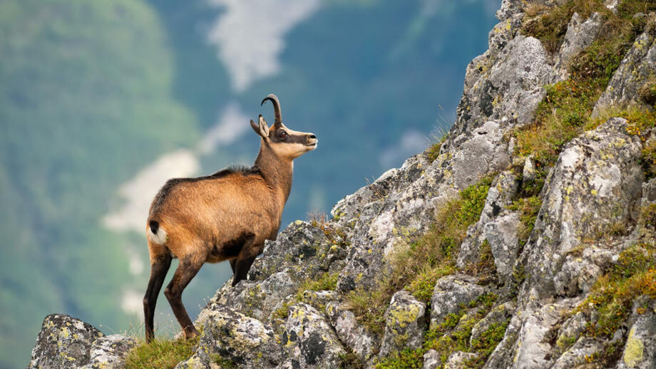 shutterstock_1675331029.jpg