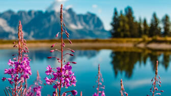 shutterstock_1895401474.jpg