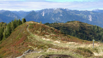 Alpbachtal_Hügel_shutterstock_1977465500.jpg