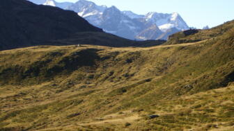 Bamberger04.jpg