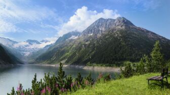 shutterstock_212284027.jpg