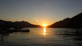 IMG_9563.jpg
