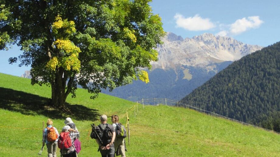 Wanderung_Richtung_Rosengarten.jpg