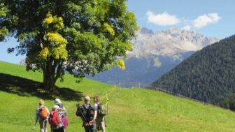 Wanderung_Richtung_Rosengarten.jpg