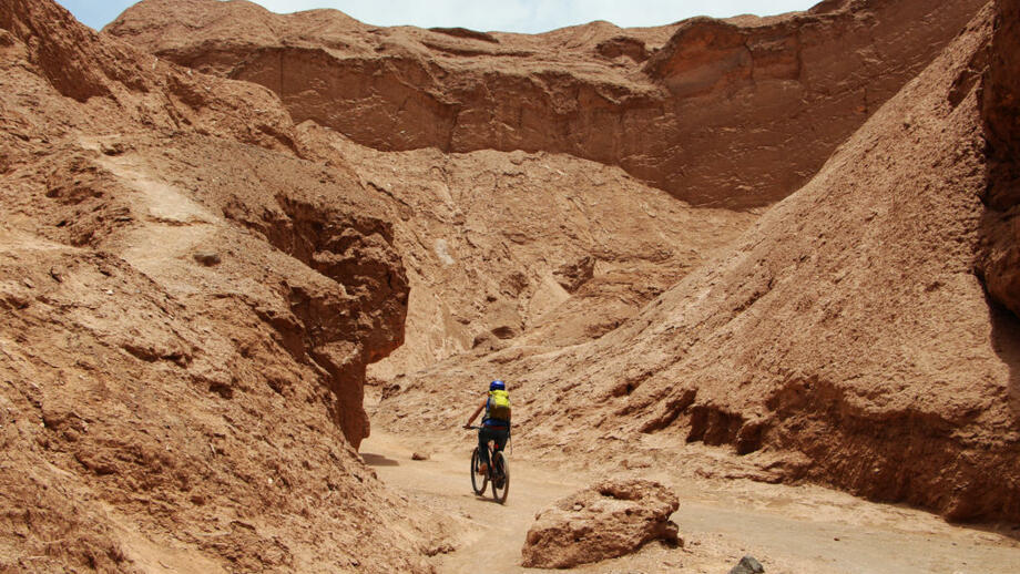 shutterstock_1169132935RAMMAR.jpg