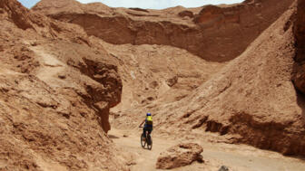 shutterstock_1169132935RAMMAR.jpg
