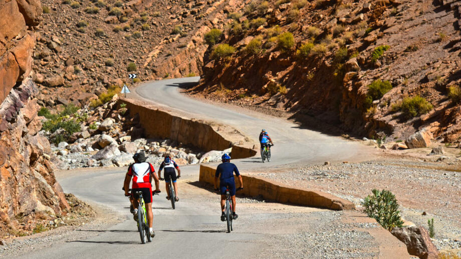 shutterstock_557567170RAMMAR.jpg