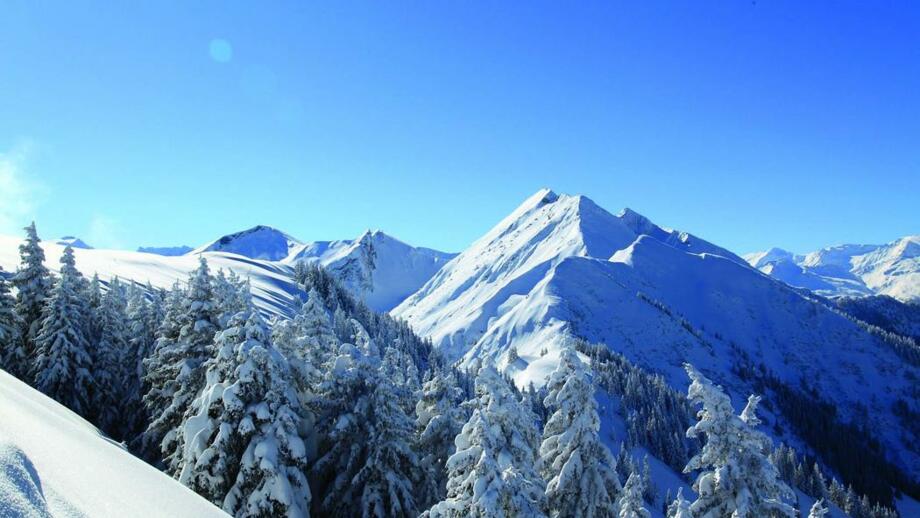 Grossarl_Frauenkogel.jpg