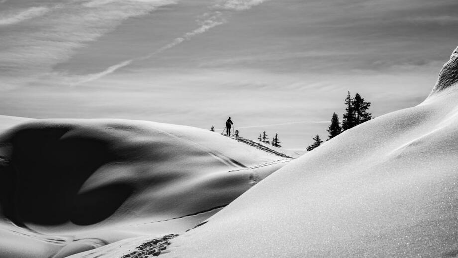 20190226-DSC_0402.jpg