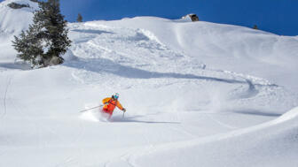 Skifahrer zieht seine Powder Line