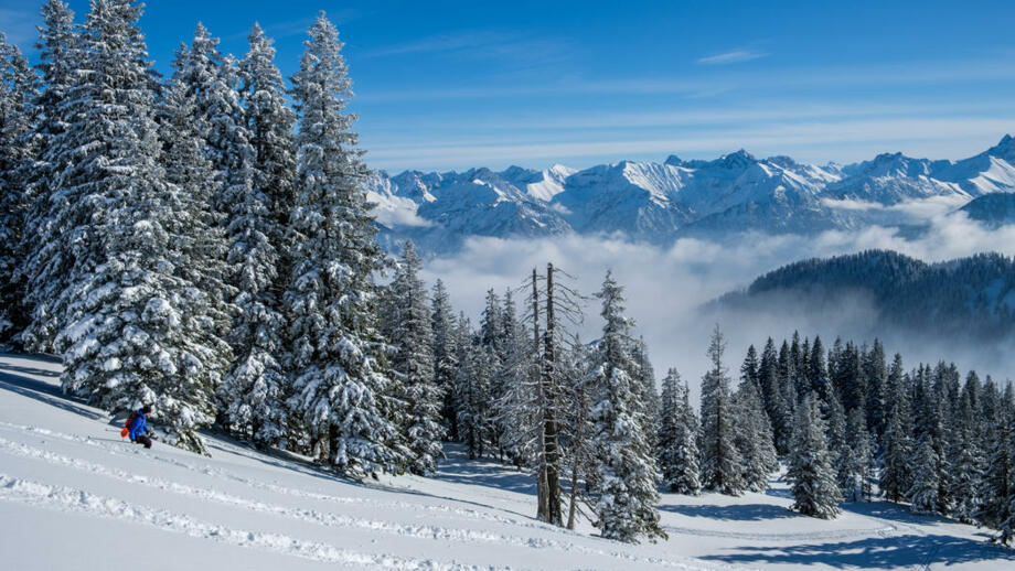 Freeride_Allgäu_shutterstock_783371878.jpg