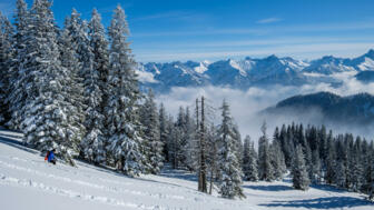 Freeride_Allgäu_shutterstock_783371878.jpg