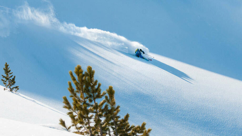 Freeride_shutterstock_449677165.jpg