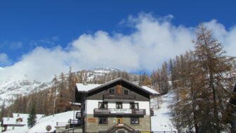 IMG_8451.jpg