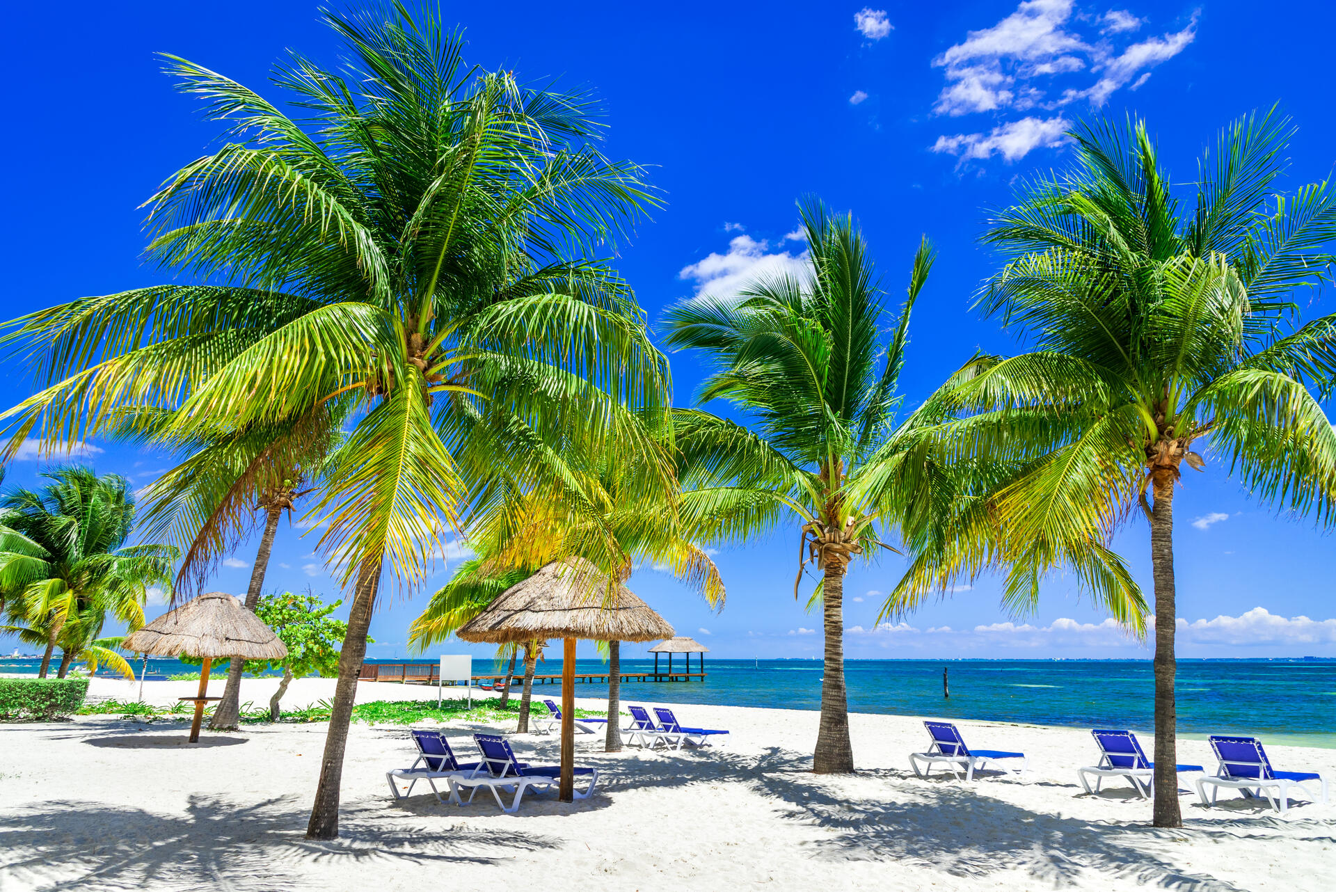 amerika-mexiko-mewan-tropische-landschaft-mit-kokospalmen-am-karibischen-strand-cancun-shutterstock_1918746149.jpg