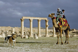 Kultur und Wandern in Syrien