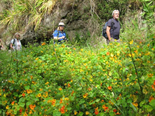 Madeira_05-2009_035.jpg
