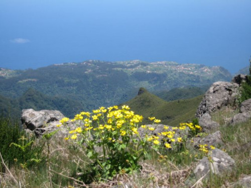 Madeira_05-2009_173.jpg
