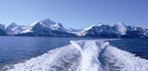 bild6.jpg