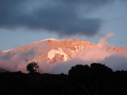 Seven Summit Kilimandscharo