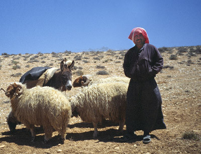 Syrien_-_Bertie_Spiessl_002.jpg