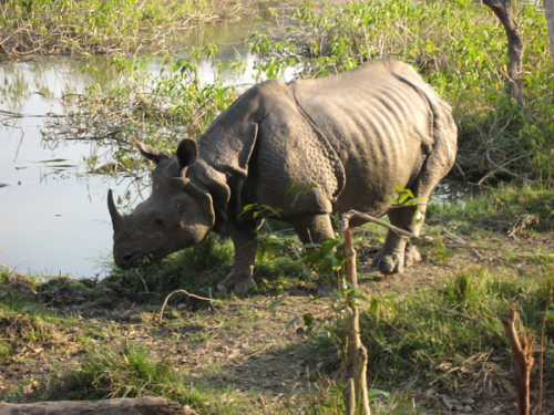 Nepal_Kulturwanderungen_2011_395.jpg