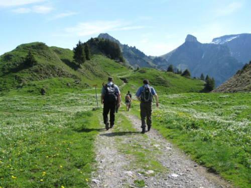 Berner_Oberland_-_Schweiz_2011_180.jpg