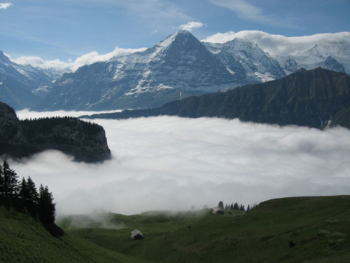 Berner_Oberland_-_Schweiz_2011_183.jpg